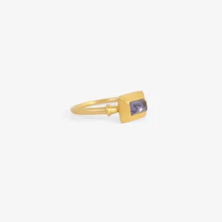 22k & tanzanite capsa ring