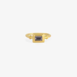 22k & tanzanite capsa ring