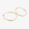 14k hewn oval hoop earrings