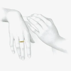 18k latin inscription band – “omnia vincit amor” – love conquers all