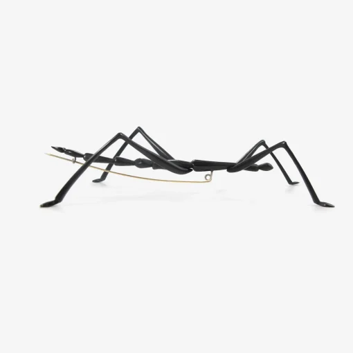 oxidized bronze walking stick insect pin